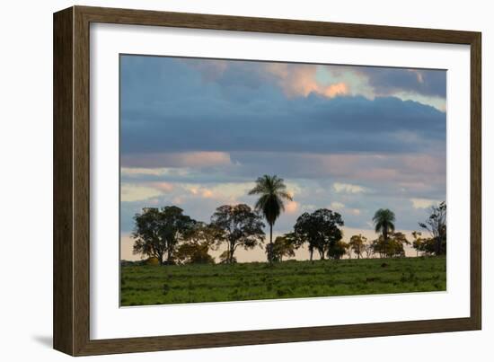 A Typical Farm Scene in Bonito with Cerrado Vegetation, Brazil-Alex Saberi-Framed Photographic Print