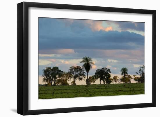 A Typical Farm Scene in Bonito with Cerrado Vegetation, Brazil-Alex Saberi-Framed Photographic Print