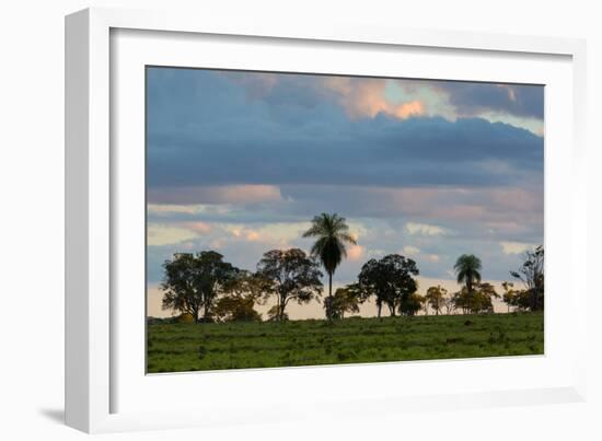 A Typical Farm Scene in Bonito with Cerrado Vegetation, Brazil-Alex Saberi-Framed Photographic Print
