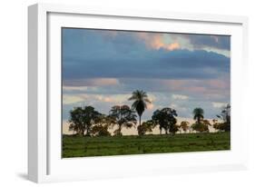 A Typical Farm Scene in Bonito with Cerrado Vegetation, Brazil-Alex Saberi-Framed Photographic Print