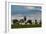 A Typical Farm Scene in Bonito with Cerrado Vegetation, Brazil-Alex Saberi-Framed Photographic Print