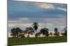 A Typical Farm Scene in Bonito with Cerrado Vegetation, Brazil-Alex Saberi-Mounted Photographic Print