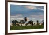 A Typical Farm Scene in Bonito with Cerrado Vegetation, Brazil-Alex Saberi-Framed Photographic Print