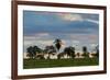 A Typical Farm Scene in Bonito with Cerrado Vegetation, Brazil-Alex Saberi-Framed Photographic Print