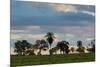 A Typical Farm Scene in Bonito with Cerrado Vegetation, Brazil-Alex Saberi-Mounted Photographic Print