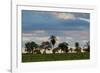 A Typical Farm Scene in Bonito with Cerrado Vegetation, Brazil-Alex Saberi-Framed Photographic Print