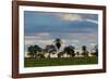 A Typical Farm Scene in Bonito with Cerrado Vegetation, Brazil-Alex Saberi-Framed Photographic Print