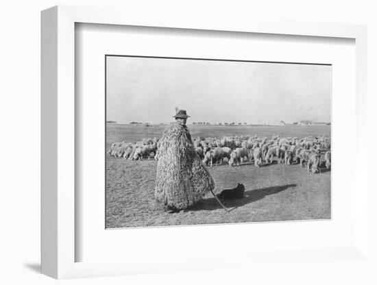 'A typical shepherd and his flock on the plains of Hungary', 1915-Unknown-Framed Photographic Print