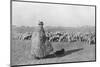 'A typical shepherd and his flock on the plains of Hungary', 1915-Unknown-Mounted Photographic Print