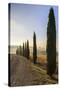 A typical street in Tuscany,with cypresses and in the background the chapel of Vitaleta. Val d'orci-ClickAlps-Stretched Canvas