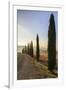 A typical street in Tuscany,with cypresses and in the background the chapel of Vitaleta. Val d'orci-ClickAlps-Framed Photographic Print