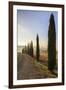 A typical street in Tuscany,with cypresses and in the background the chapel of Vitaleta. Val d'orci-ClickAlps-Framed Photographic Print