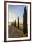 A typical street in Tuscany,with cypresses and in the background the chapel of Vitaleta. Val d'orci-ClickAlps-Framed Photographic Print