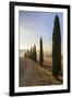 A typical street in Tuscany,with cypresses and in the background the chapel of Vitaleta. Val d'orci-ClickAlps-Framed Photographic Print