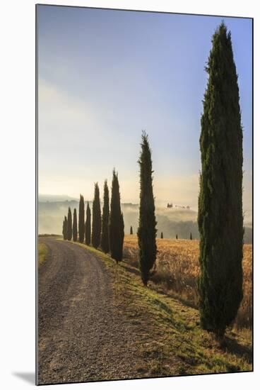 A typical street in Tuscany,with cypresses and in the background the chapel of Vitaleta. Val d'orci-ClickAlps-Mounted Photographic Print