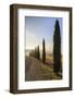 A typical street in Tuscany,with cypresses and in the background the chapel of Vitaleta. Val d'orci-ClickAlps-Framed Photographic Print