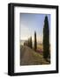 A typical street in Tuscany,with cypresses and in the background the chapel of Vitaleta. Val d'orci-ClickAlps-Framed Photographic Print