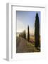 A typical street in Tuscany,with cypresses and in the background the chapel of Vitaleta. Val d'orci-ClickAlps-Framed Photographic Print