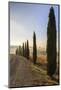 A typical street in Tuscany,with cypresses and in the background the chapel of Vitaleta. Val d'orci-ClickAlps-Mounted Photographic Print