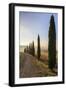 A typical street in Tuscany,with cypresses and in the background the chapel of Vitaleta. Val d'orci-ClickAlps-Framed Photographic Print