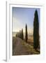 A typical street in Tuscany,with cypresses and in the background the chapel of Vitaleta. Val d'orci-ClickAlps-Framed Premium Photographic Print