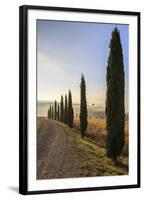 A typical street in Tuscany,with cypresses and in the background the chapel of Vitaleta. Val d'orci-ClickAlps-Framed Premium Photographic Print