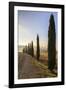 A typical street in Tuscany,with cypresses and in the background the chapel of Vitaleta. Val d'orci-ClickAlps-Framed Premium Photographic Print