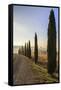 A typical street in Tuscany,with cypresses and in the background the chapel of Vitaleta. Val d'orci-ClickAlps-Framed Stretched Canvas