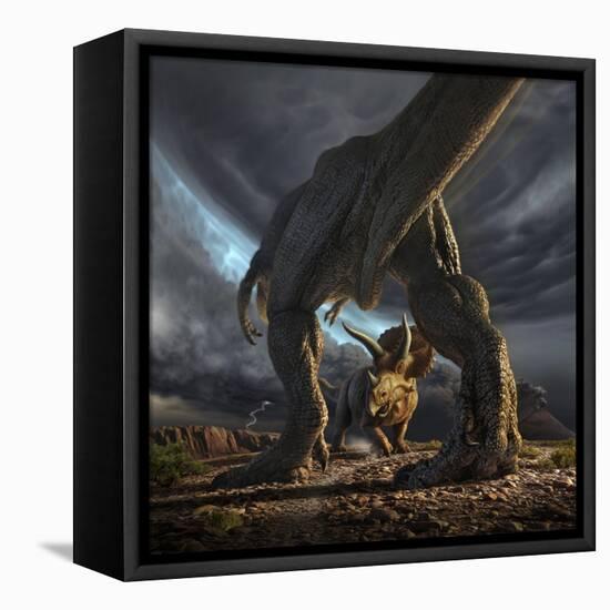 A Tyrannosaurus Rex and Triceratops in a Classic Face Off-null-Framed Stretched Canvas