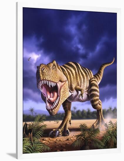 A Tyrannosaurus Rex Attacks, Lit by the Late Afternoon Sun-null-Framed Art Print