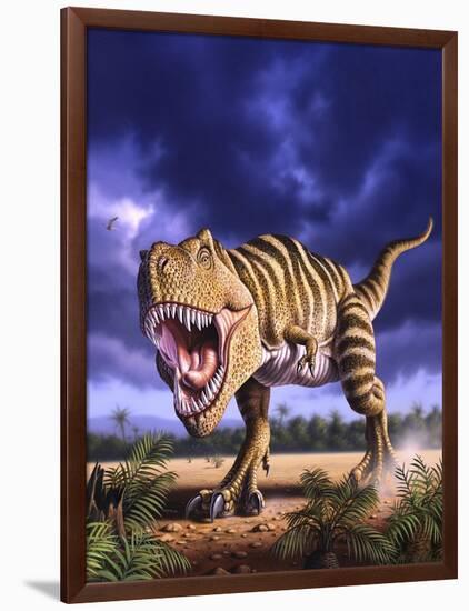 A Tyrannosaurus Rex Attacks, Lit by the Late Afternoon Sun-null-Framed Art Print