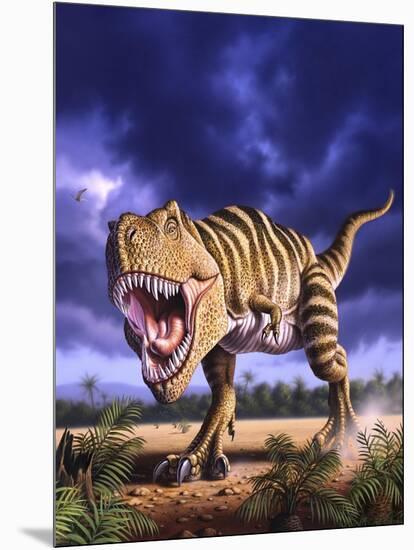 A Tyrannosaurus Rex Attacks, Lit by the Late Afternoon Sun-null-Mounted Art Print