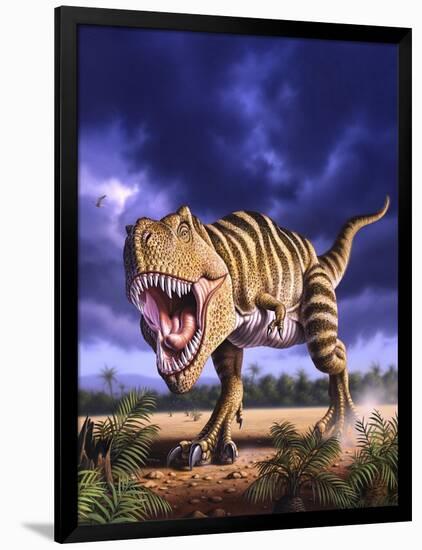 A Tyrannosaurus Rex Attacks, Lit by the Late Afternoon Sun-null-Framed Art Print