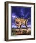 A Tyrannosaurus Rex Attacks, Lit by the Late Afternoon Sun-null-Framed Art Print