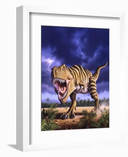 A Tyrannosaurus Rex Attacks, Lit by the Late Afternoon Sun-null-Framed Art Print