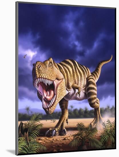 A Tyrannosaurus Rex Attacks, Lit by the Late Afternoon Sun-null-Mounted Art Print