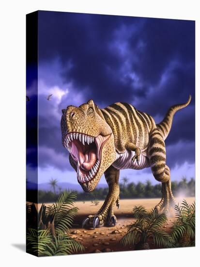 A Tyrannosaurus Rex Attacks, Lit by the Late Afternoon Sun-null-Stretched Canvas
