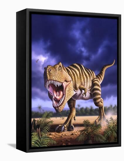 A Tyrannosaurus Rex Attacks, Lit by the Late Afternoon Sun-null-Framed Stretched Canvas