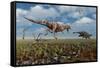 A Tyrannosaurus Rex Giving Chase to an Ankylosaurus-null-Framed Stretched Canvas