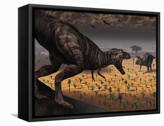 A Tyrannosaurus Rex Spots Two Passing Triceratops-Stocktrek Images-Framed Stretched Canvas