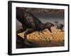 A Tyrannosaurus Rex Spots Two Passing Triceratops-Stocktrek Images-Framed Photographic Print