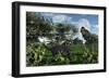 A Tyrannosaurus Rex Stalking a Herbivorous Ankylosaurus-null-Framed Premium Giclee Print