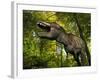 A Tyrannosaurus Wanders a Cretaceous Forest-Stocktrek Images-Framed Photographic Print