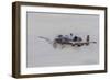 A U.S. Air Force A-10 Thunderbolt Ii Fires its 30Mm Cannon-null-Framed Photographic Print
