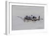 A U.S. Air Force A-10 Thunderbolt Ii Fires its 30Mm Cannon-null-Framed Photographic Print