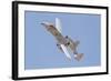 A U.S. Air Force A-10 Thunderbolt Ii in Flight-Stocktrek Images-Framed Photographic Print