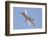 A U.S. Air Force A-10 Thunderbolt Ii in Flight-Stocktrek Images-Framed Photographic Print
