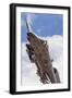 A U.S. Air Force A-10 Thunderbolt Ii-null-Framed Photographic Print