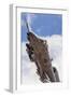 A U.S. Air Force A-10 Thunderbolt Ii-null-Framed Photographic Print