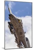A U.S. Air Force A-10 Thunderbolt Ii-null-Mounted Photographic Print